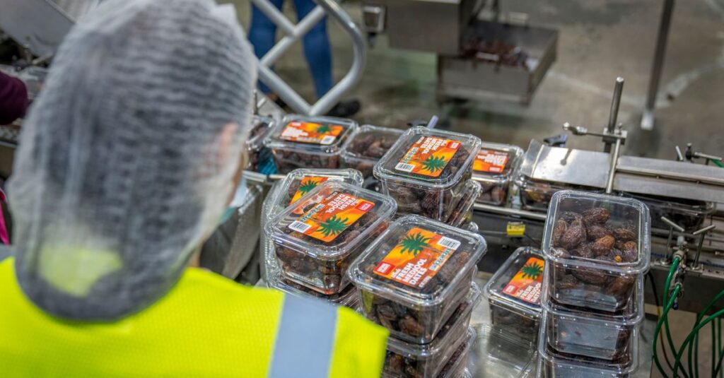 Worker managing date packaging in a modern industrial facility, ensuring quality control.