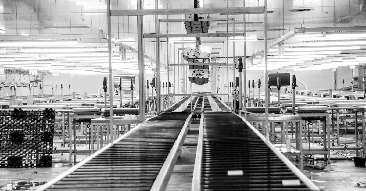 Modern conveyor system in a monochrome industrial factory setting in Redelinghuys, South Africa.