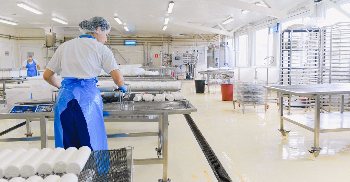 A worker in protective gear handles cheese in a modern dairy factory setting.