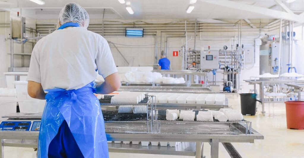 A worker in a cheese production factory, focused on processing and quality control.