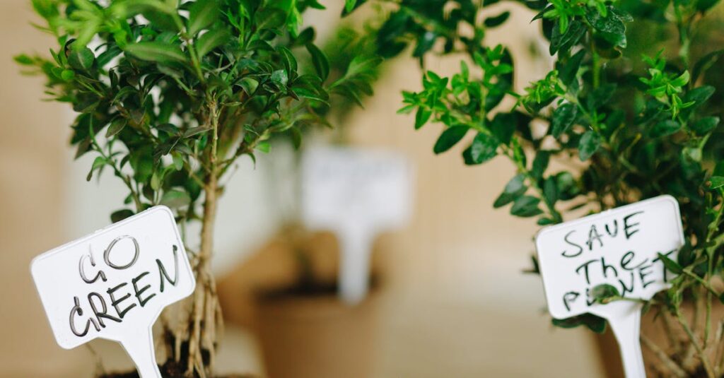 Potted plants in biodegradable pots with eco-friendly tags promoting green initiatives.